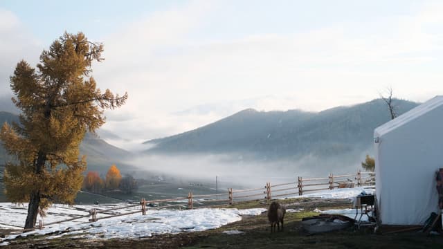 去喀纳斯的路上 一个不知名的观景台